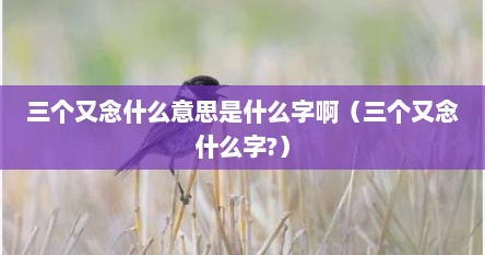 三个又念什么意思是什么字啊（三个又念什么字?）