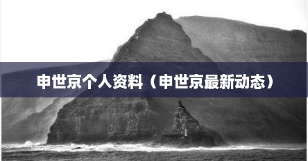 申世京个人资料（申世京最新动态）
