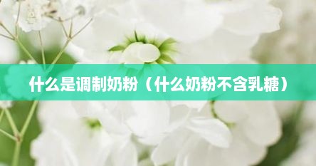 什么是调制奶粉（什么奶粉不含乳糖）