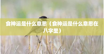 食神运是什么意思（食神运是什么意思在八字里）