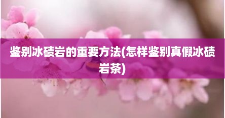 鉴别冰碛岩的重要方法(怎样鉴别真假冰碛岩茶)