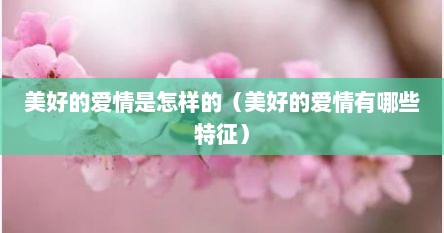 美好的爱情是怎样的（美好的爱情有哪些特征）