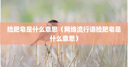 捡肥皂是什么意思（网络流行语捡肥皂是什么意思）
