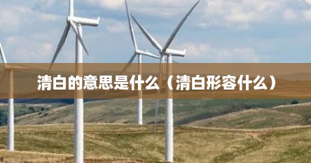 清白的意思是什么（清白形容什么）