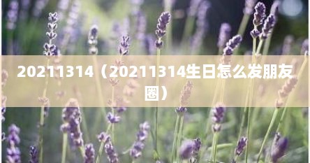 20211314（20211314生日怎么发朋友圈）