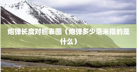 炮弹长度对照表图（炮弹多少毫米指的是什么）