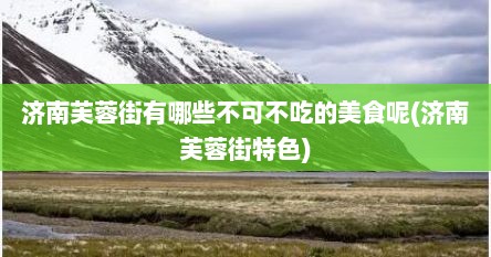 济南芙蓉街有哪些不可不吃的美食呢(济南芙蓉街特色)