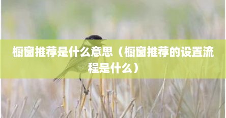 橱窗推荐是什么意思（橱窗推荐的设置流程是什么）