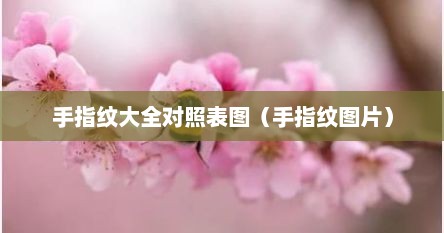 手指纹大全对照表图（手指纹图片）