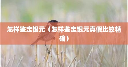 怎样鉴定银元（怎样鉴定银元真假比较精确）