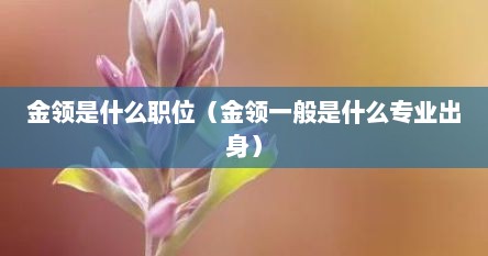 金领是什么职位（金领一般是什么专业出身）