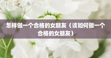 怎样做一个合格的女朋友（该如何做一个合格的女朋友）