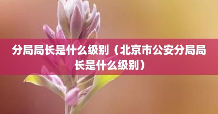 分局局长是什么级别（北京市公安分局局长是什么级别）