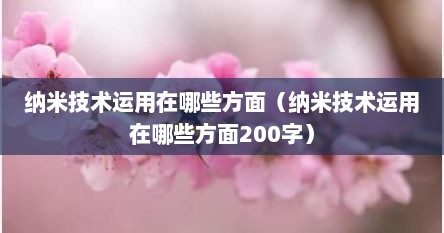 纳米技术运用在哪些方面（纳米技术运用在哪些方面200字）