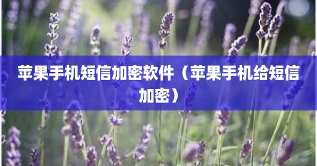 苹果手机短信加密软件（苹果手机给短信加密）