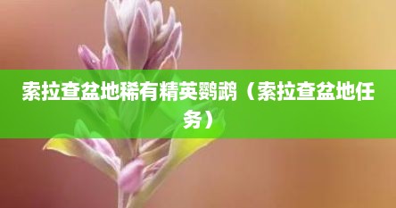 索拉查盆地稀有精英鹦鹉（索拉查盆地任务）
