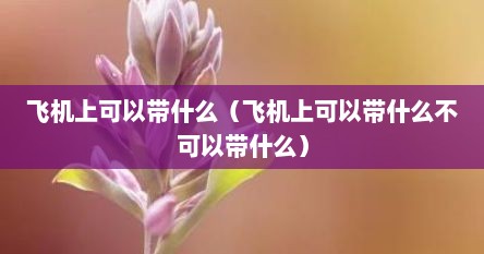 飞机上可以带什么（飞机上可以带什么不可以带什么）