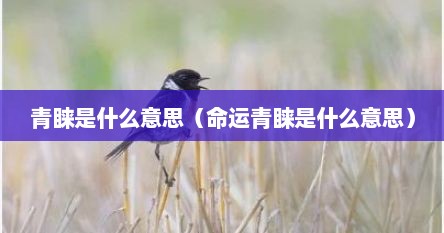 青睐是什么意思（命运青睐是什么意思）