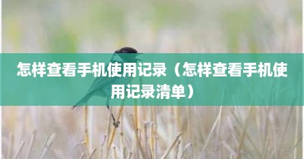 怎样查看手机使用记录（怎样查看手机使用记录清单）