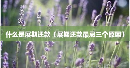 什么是展期还款（展期还款最忌三个原因）