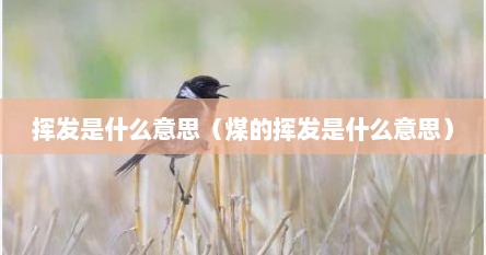 挥发是什么意思（煤的挥发是什么意思）