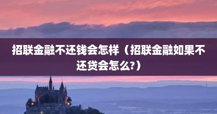 招联金融不还钱会怎样（招联金融如果不还贷会怎么?）