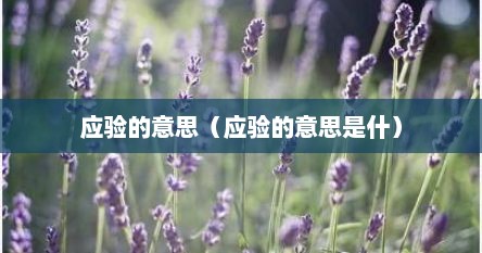 应验的意思（应验的意思是什）