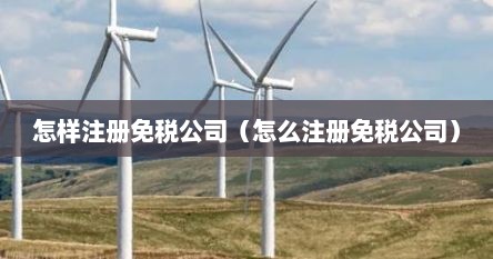 怎样注册免税公司（怎么注册免税公司）