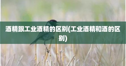 酒精跟工业酒精的区别(工业酒精和酒的区别)
