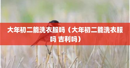 大年初二能洗衣服吗（大年初二能洗衣服吗 吉利吗）