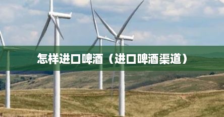 怎样进口啤酒（进口啤酒渠道）
