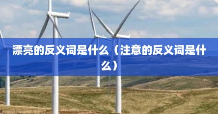 漂亮的反义词是什么（注意的反义词是什么）