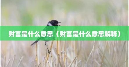 财富是什么意思（财富是什么意思解释）