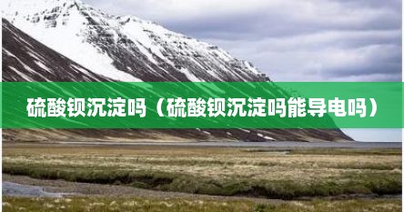硫酸钡沉淀吗（硫酸钡沉淀吗能导电吗）