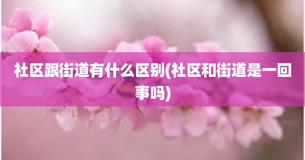 社区跟街道有什么区别(社区和街道是一回事吗)
