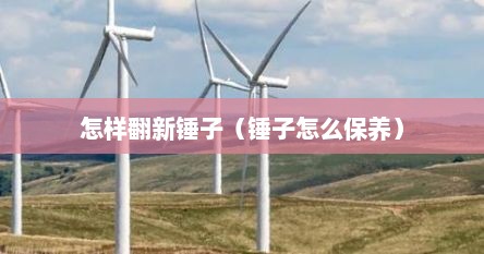 怎样翻新锤子（锤子怎么保养）