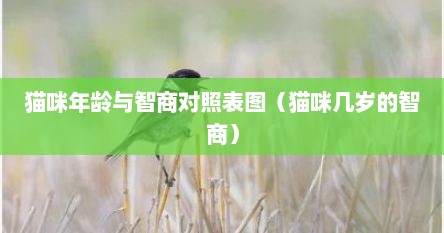 猫咪年龄与智商对照表图（猫咪几岁的智商）
