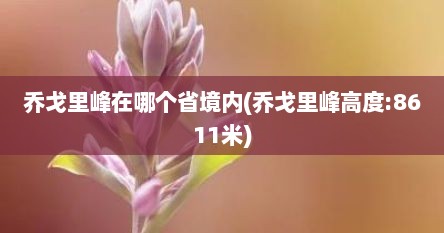 乔戈里峰在哪个省境内(乔戈里峰高度:8611米)
