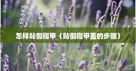 怎样贴假指甲（贴假指甲盖的步骤）