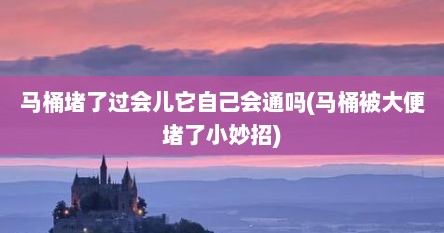 马桶堵了过会儿它自己会通吗(马桶被大便堵了小妙招)