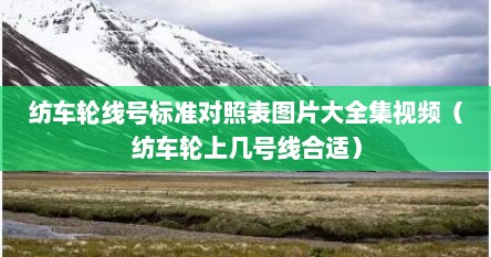 纺车轮线号标准对照表图片大全集视频（纺车轮上几号线合适）