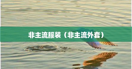 非主流服装（非主流外套）