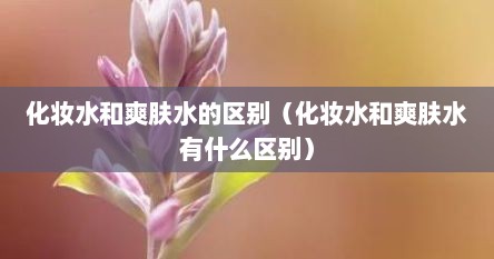 化妆水和爽肤水的区别（化妆水和爽肤水有什么区别）