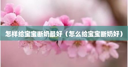 怎样给宝宝断奶最好（怎么给宝宝断奶好）