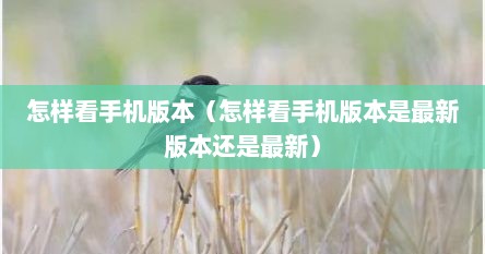 怎样看手机版本（怎样看手机版本是最新版本还是最新）
