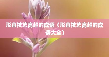 形容技艺高超的成语（形容技艺高超的成语大全）