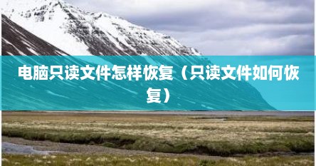 电脑只读文件怎样恢复（只读文件如何恢复）