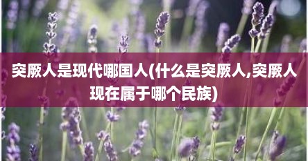 突厥人是现代哪国人(什么是突厥人,突厥人现在属于哪个民族)