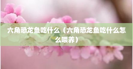 六角恐龙鱼吃什么（六角恐龙鱼吃什么怎么喂养）