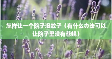 怎样让一个院子没蚊子（有什么办法可以让院子里没有苍蝇）